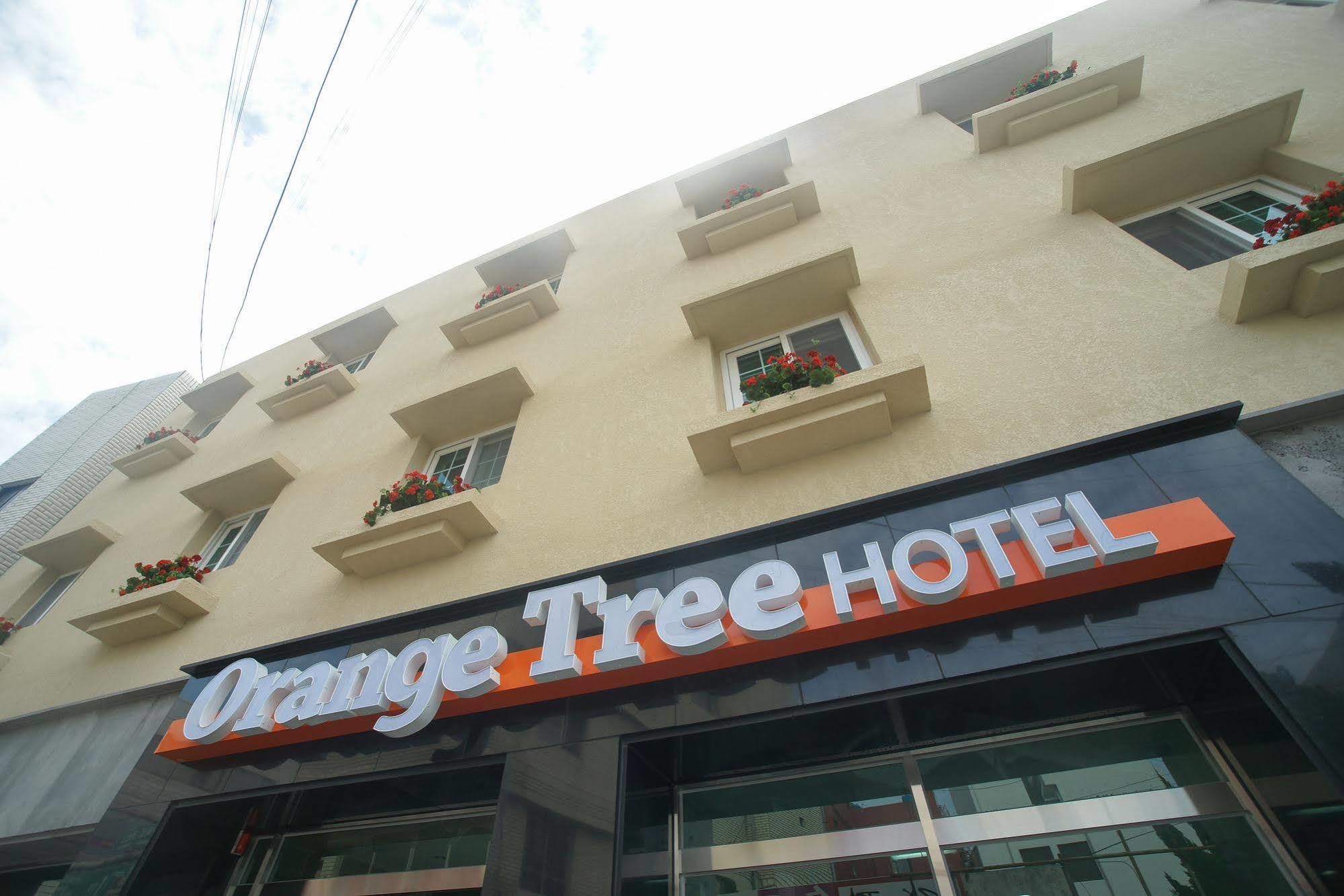 Orange Tree Hotel Jeju Esterno foto