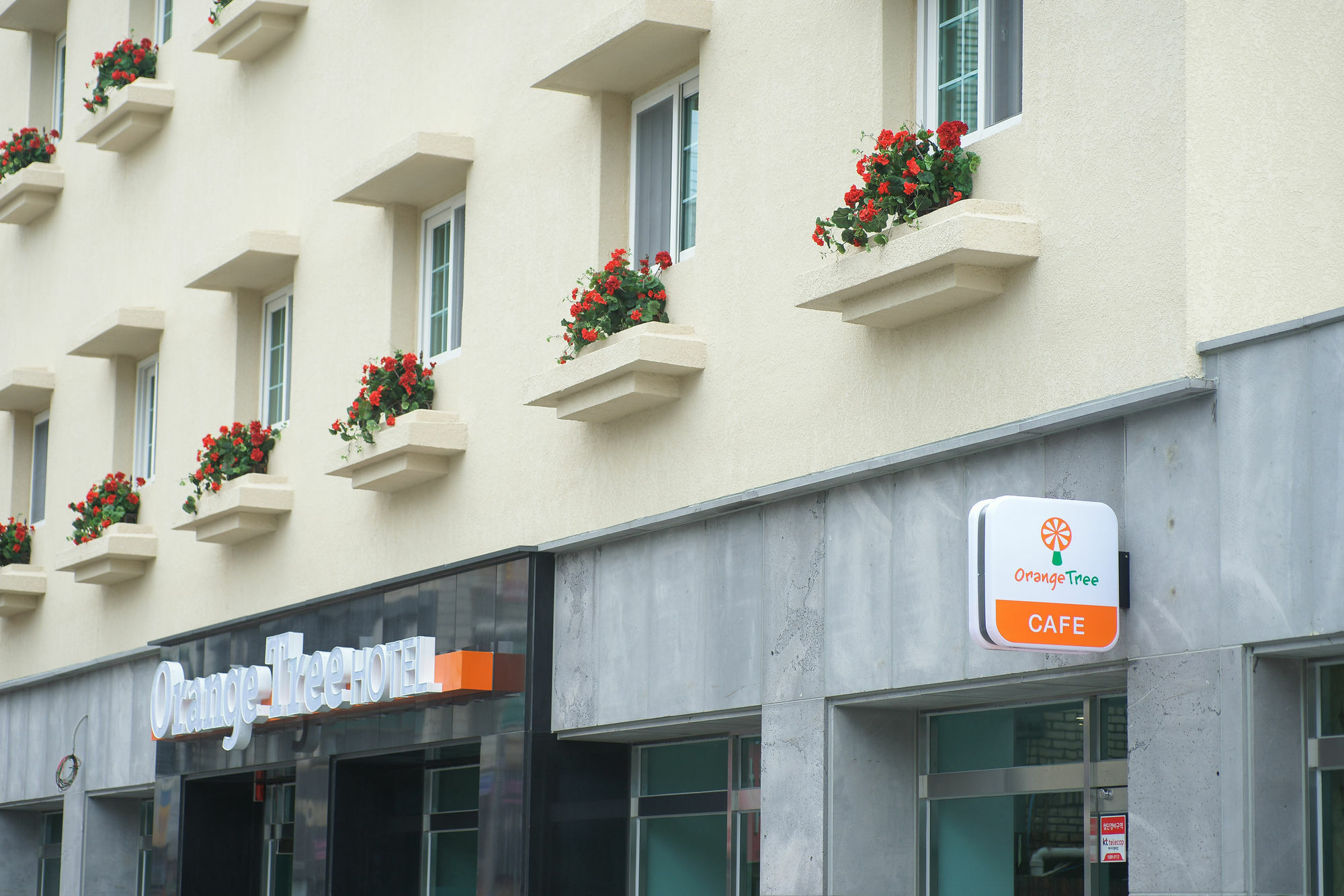 Orange Tree Hotel Jeju Esterno foto